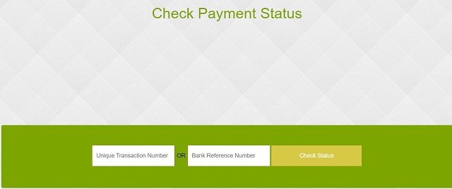 Check Payment Status