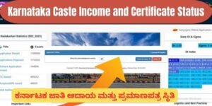 Karnataka Caste Income and Certificate Status Check Online at ...