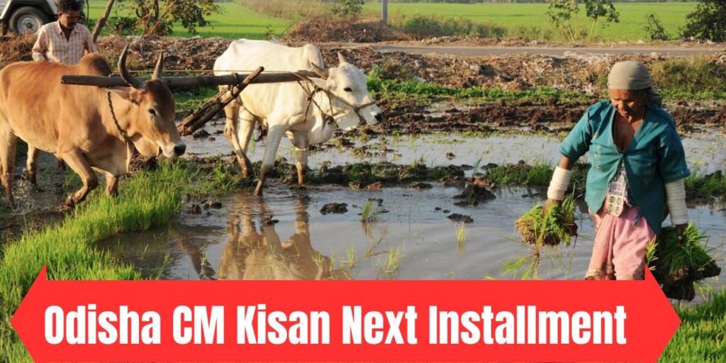 Odisha CM Kisan Next Installment 